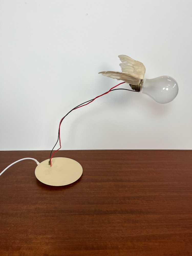 1st edition Lucellino table lamp by Ingo Maurer 1992